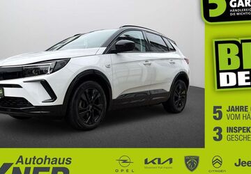 Opel Grandland (X) 44.112 km 20.350 &euro; Hof 95032