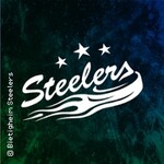Bietigheim Steelers - Lausitzer Füchse
