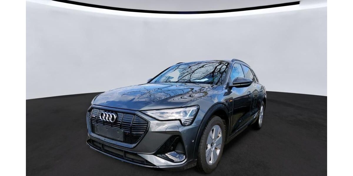 Audi e-tron 95.843 km 34.749 &euro; Hagen 58091