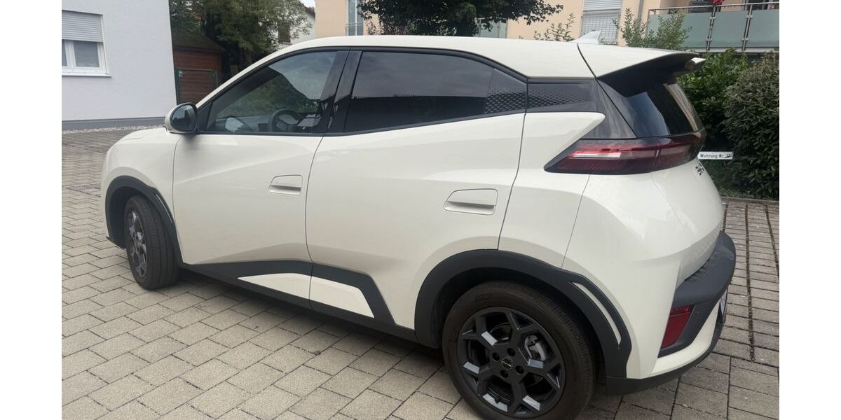 BYD DOLPHIN SURF 3.800 km 19.900 &euro; Garching 85748
